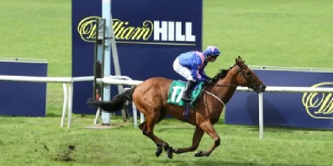 William Hill advertising at Thirsk Racecourse, with a horse and jockey running in front