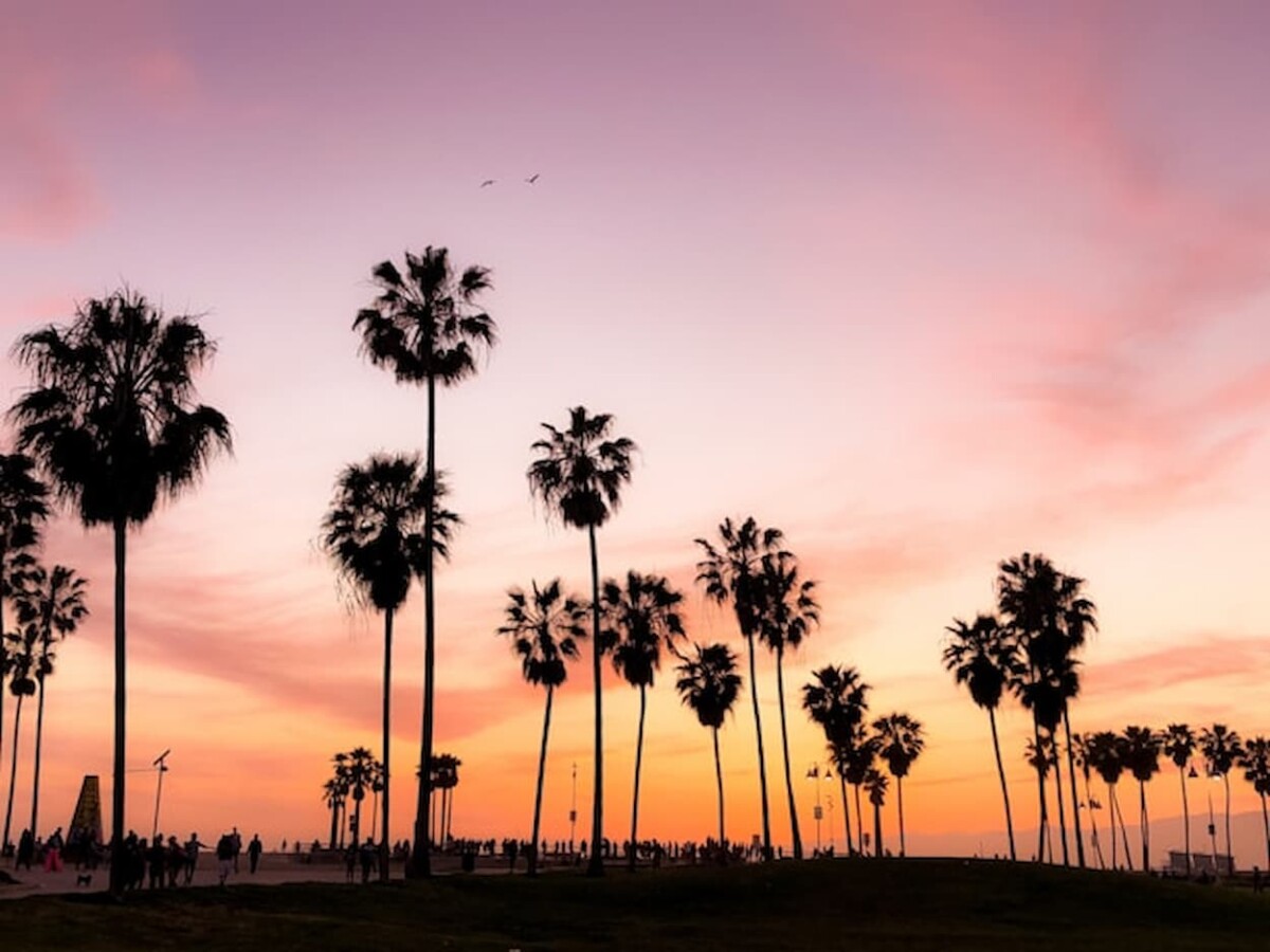 California Lawmakers Considering Ban On Sweepstakes Casinos